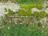 image of grave number 710394